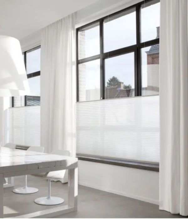 Pleated Blinds Pleated Blinds